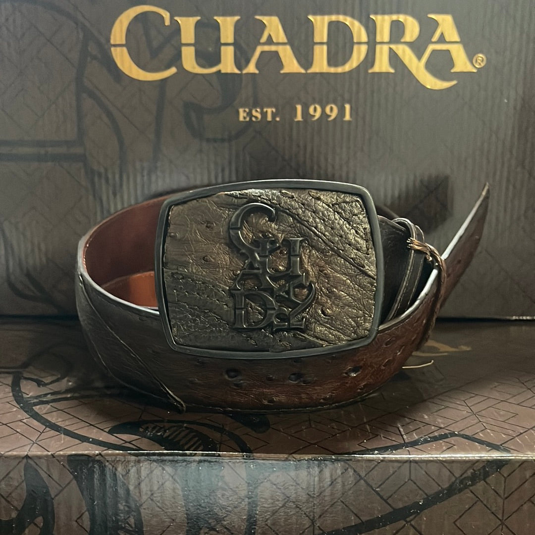 CUADRA BELT MENS BRONW OSTRICH