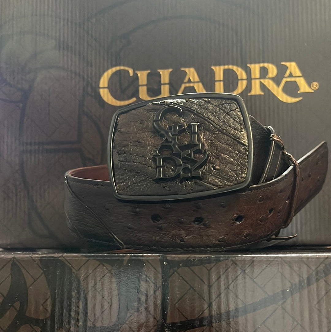 CUADRA BELT MENS BRONW OSTRICH
