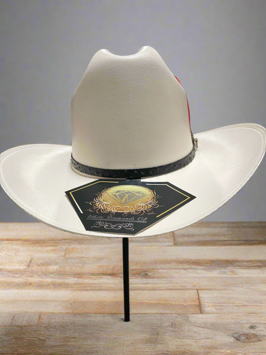 WHITE DIAMONDS Men's San Judas 100X 3.5" Straw Hat