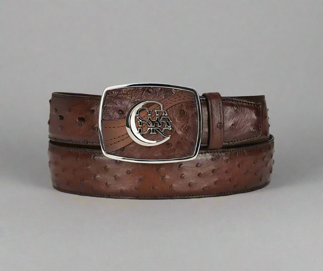 CUADRA BELT MENS MORONI CHESTNUT OSTRICH