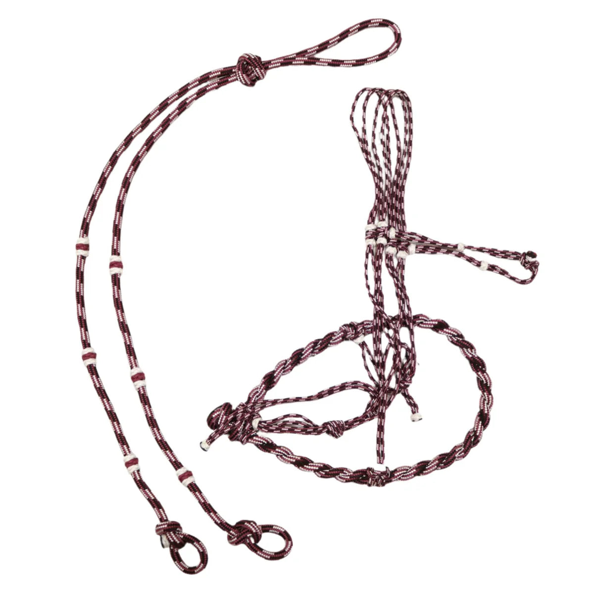 Bosal con Rienda Different Colors