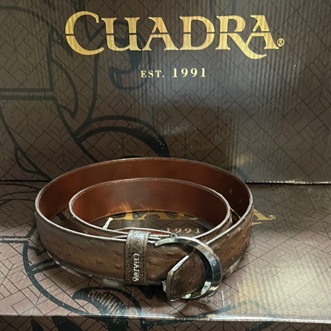 CUADRA BELT MENS BROWN OSTRICH