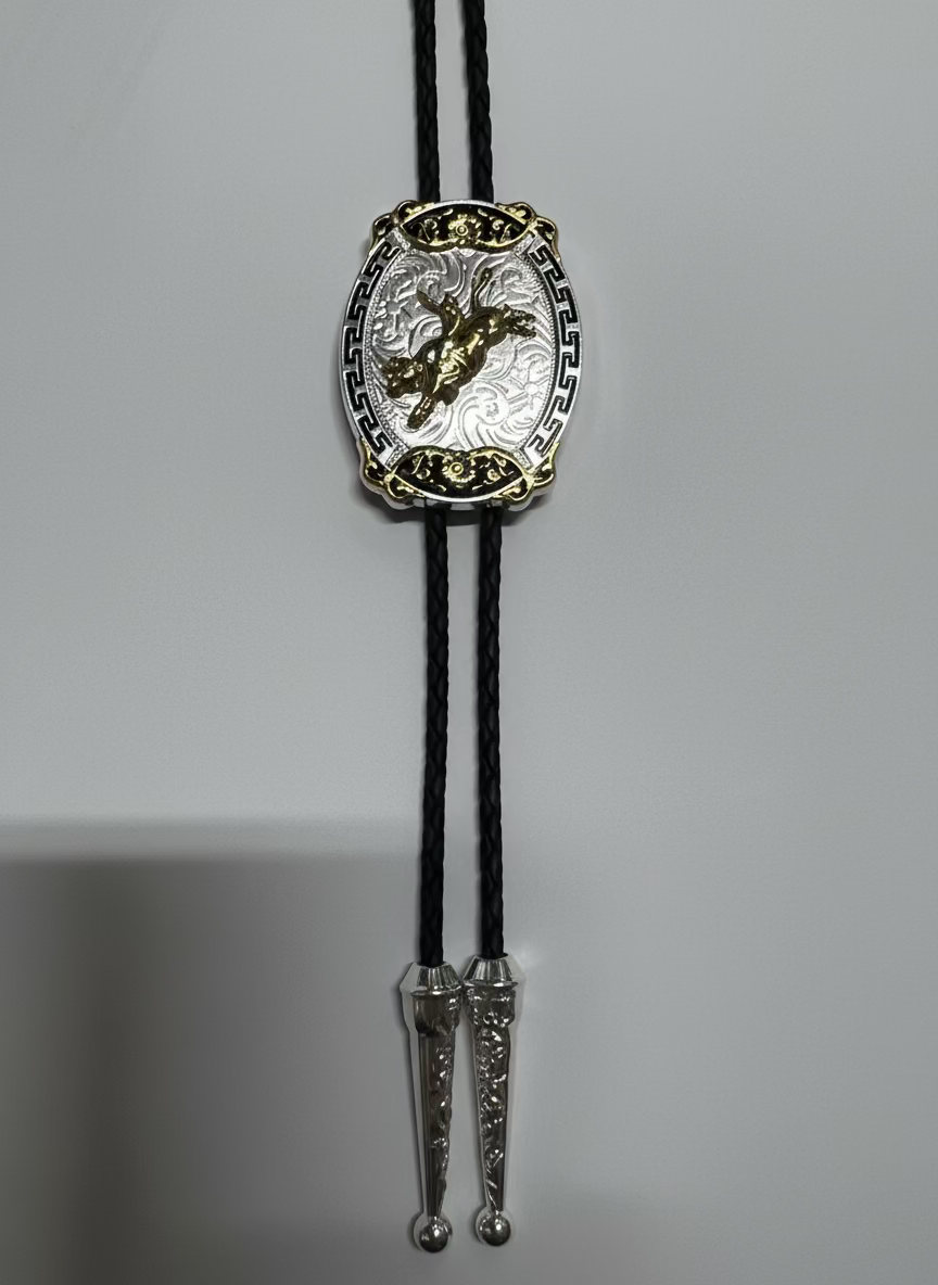 Assorted Gold and Silver Bolo Ties