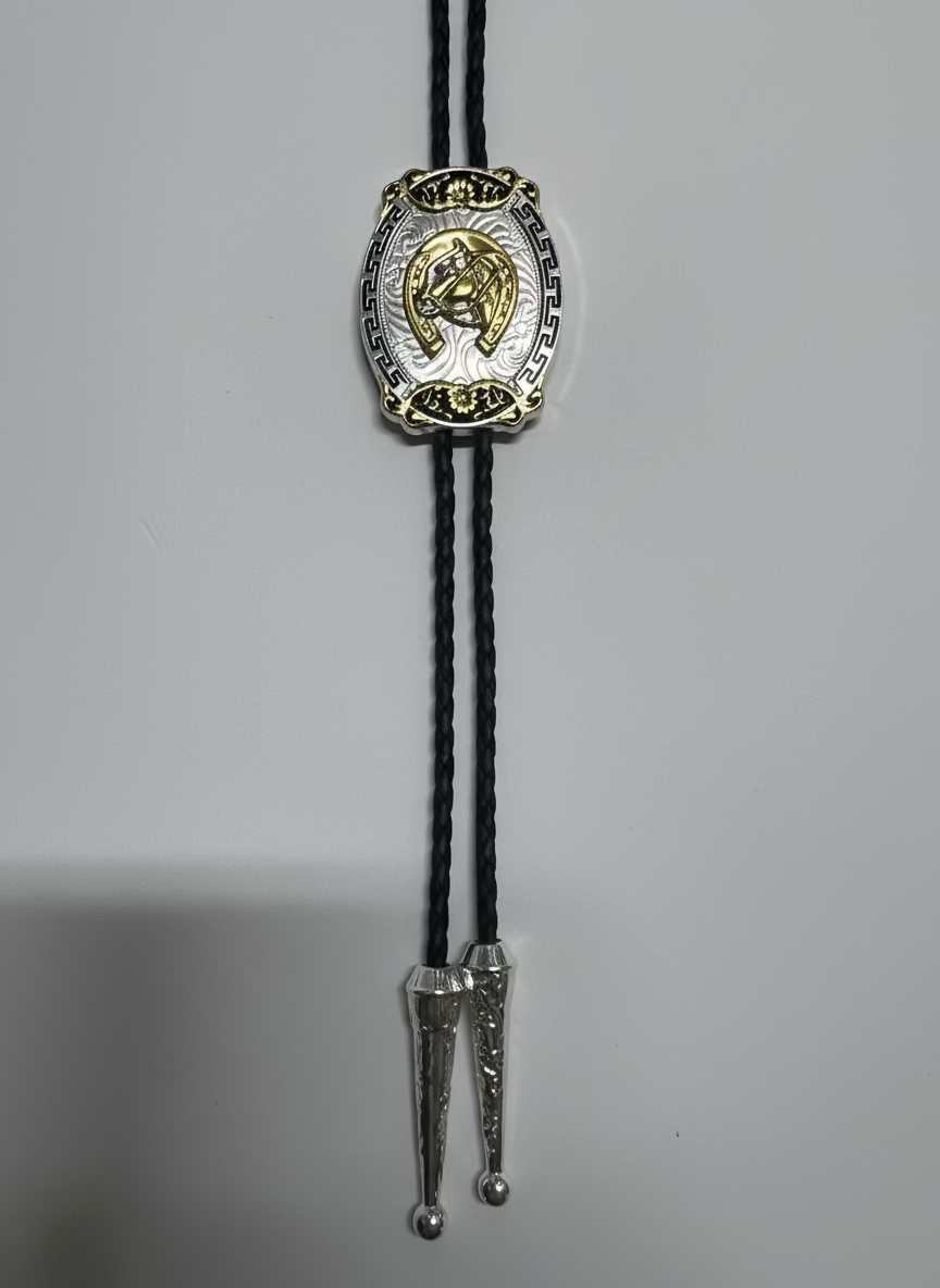 Assorted Gold and Silver Bolo Ties