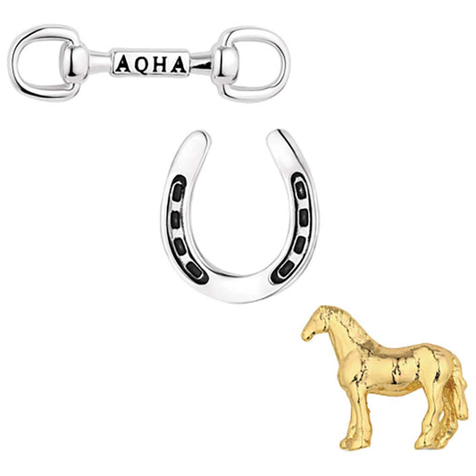 MONTANA SILVERSMITHS Enjoy the Ride Pins