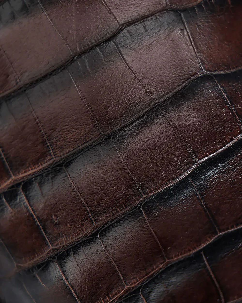 Cudra Brown Exotic Aligator Urban Boots
