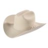 STETSON SHASTA 10X